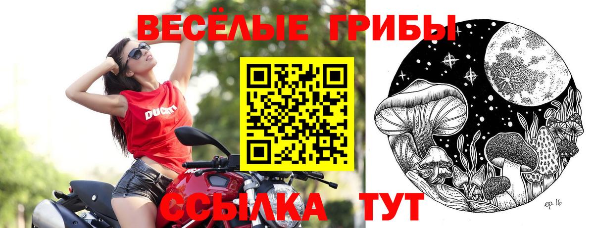 Псилоцибиновые грибы ЛСД  Вход с VPN  Ангарск 